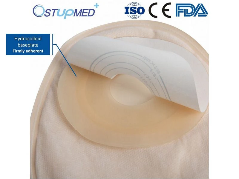 product-800-600